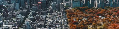 What does ofe stand for? Ofe Ourfutureenvironment Consulting