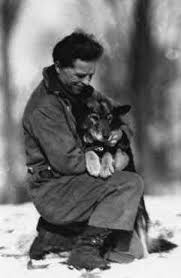 seppala siberian sleddog poslednee puteshestvie togo siberian husky funny dog hero dog sledding