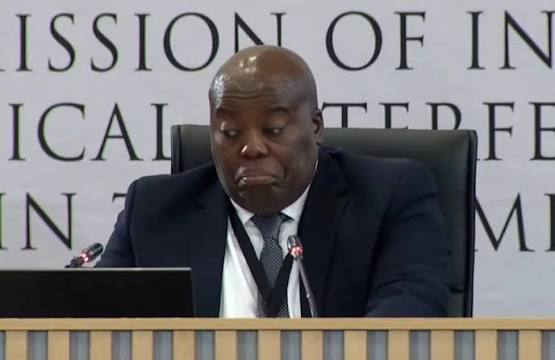 YNews: IDAC DDPP, Peter Serunye, says the arrests of Crime Intelligence  Officer Dineo Mokwele and others were premature and brought to court before  the investigation was complete. Testifying before the Madlanga Commission,