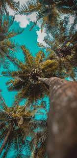 Wallpapers For Iphone 12 Pro And Iphone 12 Pro Max Clouds Wallpaper Wallpaper Cloud Wallpaper