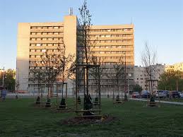 We did not find results for: Park Saratovska Dubravka Sk
