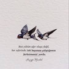 Her Insan Imtihan Edilir Ilham Veren Sozler Ilham Verici Alintilar Ilham Veren Alintilar