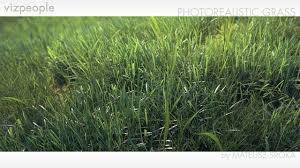 Viz People Photorealistic Grass Tutorial 3ds Max Tutorials Vray Tutorials Tutorial