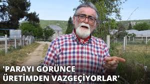 Benim amacım buradan yer alıp 50binede prefabrik ev alıp yaz tatillerimi geçirmek. Tarim Alanlarinda Hobi Bahcesi Tepkisi Parayi Gorunce Uretimden Vazgeciyorlar Youtube