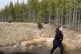 I was born and raised in jackson hole, and while i can't afford to live there. Facebook