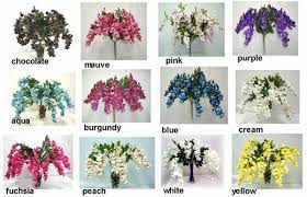Wisteria Vine Wisteria Tree Species Wisteria Colors How To Grow Wisteria Jpg 600 385 Glyzinie Durreresistente Pflanzen Japanische Pflanzen