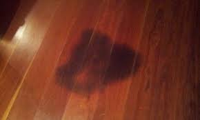 Using Peroxide To Clean Pet Stain On Wood Floors Cleaning Hacks Flooring House Cleaning Tips