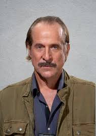 Walter Hardy Fan Casting for Spider Man New Home