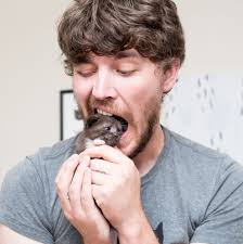 Speakers — Jackson Galaxy's Cat Camp