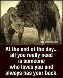 Pin By John Schonewolf On Motivational Finds Got Your Back Quotes Lion Quotes Lion Love