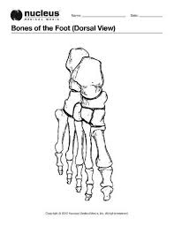 We did not find results for: Bones Of The Foot Dorsal View Anatomy Coloring Book Anatomy Coloring Pages Coloring Pages