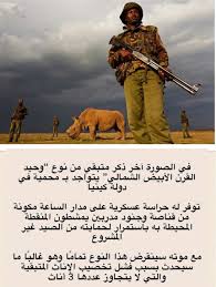 آخر ذ ك ر متبقي من وحيد القرن الأبيض يتواجد في كينيا عليه حراسة 24ساعة لحمايته من الصيد وعند موته سينقرض هالنوع Movie Posters Movies Poster