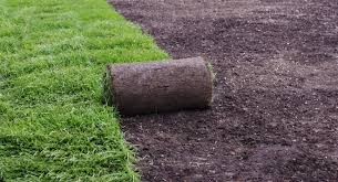 Basic equipment needed to level your lawn is pretty simple: How To Level A Bumpy And Uneven Lawn