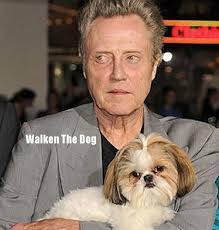 Part 2 Of Our 2-Part Complete List of Favorite Dog Movies