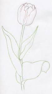Check spelling or type a new query. Cara Menggambar Bunga Tulip Dengan Pensil Selangkah Demi Selangkah Cara Menggambar Tulip Dengan Pensil