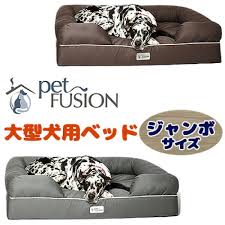 楽天市場 2 1ポイント2倍 petfusion メモリーフォーム ドッグベッド ジャンボサイズ 大型犬用ベッド 犬 ドッグ ベッド ペット 室内 ペット用品 高品質 洗濯可能 関節痛 petfusion ultimate pet bed lounge prem edition in solid memor 犬用ベッド 大型犬用