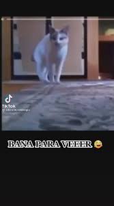 bana parag veeegrrr video 2021 komik internet fenomenleri komik seyler komik hikayeler