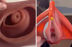 Make sure no cervical lip is present. How Big A Cervix Dilates During Childbirth Via Tiktok