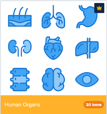 20 Premium Vector Icons Of Human Organs Designed By Deemakdaksina Human Organ Human Organs