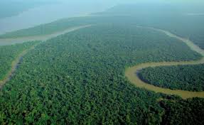 These Are The Five Longest Rivers In The World Education Today News