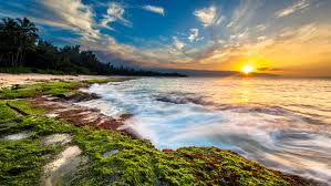 Nsfw images are not allowed. Sunset Over Maui Beach Dawn In Hawaii 4k Ultra Hd Wallpaper For Mobile Phones And Computer 3840x2160 Wallpapers13 Com