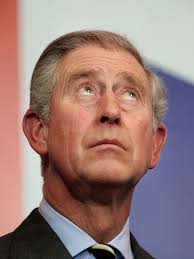 Prince Charles seems like forgotten man at wedding