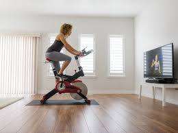 We've reviewed the spectrum from cheap recumbent bikes to elite fitness machines. The 6 Best Quiet Exercise Bikes For Apartment Training Soundproof Panda