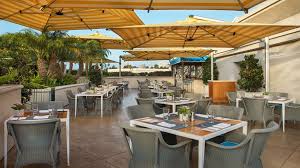 Queen elizabeth roof garden bar & café. I Will Tell You The Truth About Roof Garden Cafe Amp Bar Queen Elizabeth Hall In The Next 4 Seconds Roof Garden Cafe Amp Bar Queen Elizabeth Hall