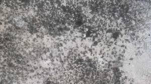 Some basement mold may be more toxic than others, including black molds, according to better health usa 2. How To Get Rid Of And Prevent Mold Growth On Concrete Environix