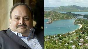 Choksi, an accused in the over rs 13,500 crore punjab national bank (pnb) fraud case along with his nephew nirav modi, has been residing in antigua and berbuda since january 4, 2018. Not Just Mehul Choksi Anyone Can Get Antigua Passport For Rs 68 Lakh