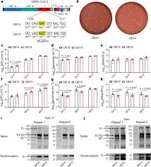 Work power and energy worksheets answers. Spike Mutation D614g Alters Sars Cov 2 Fitness Nature