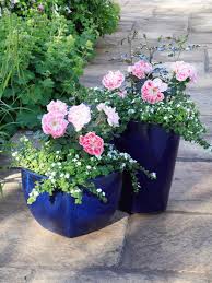 Collection by julie arnegard • last updated 3 days ago. 22 Flowers For Small Pots Garden Containers Container Gardening Container Gardening Flowers