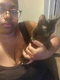 Is anyone missing a young black cat with a white spot