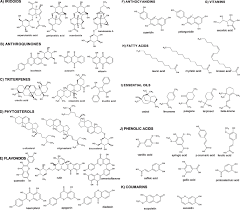 Image result for Oldenlandia cana