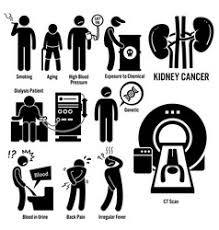 Trouble breathing or leg pain (due. Kidney Pain Vector Images Over 1 200