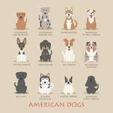Established in 1909 the adba is an american pit bull terrier registry. 33 All American Dog Breeds Those Made In The U S A Ideas American Dog Dog Breeds Breeds