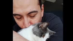 Graham Steele: Mr. McNeil, tear down this wall