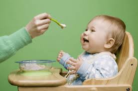Memberi makan untuk si kecil tentu perlu dilakukan dengan teliti, tidak boleh sembarangan. Makanan Bayi 7 8 Bulan Terbaik Untuk Kecerdasan Otak