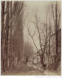 Epingle Sur Old Paris