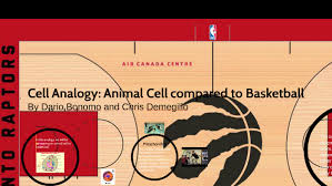 Analogy for an animal cell vacuole. Cell Analogy By Chris Demegillo