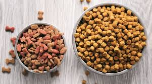 Chicken and rice flavor includes nutrients that help promote brain and eye. Royal Canin Vs Hill S Science Diet Dog Food Comparison