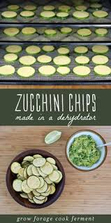 Maybe you would like to learn more about one of these? 7 Dehydrated Zucchini Chips Ideas Zucchini Chips Dehydrator Recipes Dehydrated Food