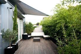 Bamboo As A Balcony Screen Ideas With Plants Mats And Rods Decor Ideas For You 2018 Gartnern Mit Wenig Platz Terassenideen Terrassengarten