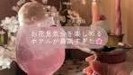 桜テーマの夜喫茶開催中！五反田の魅力