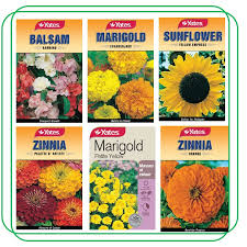 6 rare flowers of the philippines #1. The Urban Gardening Shop Ramgo Seeds Flowers Collection 1 Pack Shopee Philippines