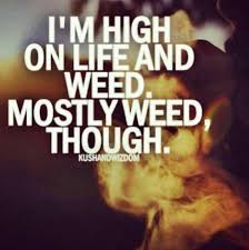 High Weed Quotes Quotesgram