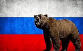 American black bears are just huge trash pandas. Hd Wallpaper Bears Flag Russia Russian Mammal One Animal No People Wallpaper Flare