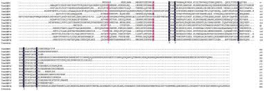 Maybe you would like to learn more about one of these? Identification And Tissue Distribution Of Chemosensory Protein And Odorant Binding Protein Genes In Tropidothorax Elegans Distant Hemiptera Lygaeidae Scientific Reports