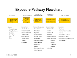 Learn about types of flow charts and flowchart symbols. Exposure Pathway Flowchart