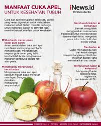 Selain sebagai bumbu dapur cuka apel juga bisa dimanfaatkan untuk terapi kesehatan. Infografis Cuka Apel Bisa Turunkan Berat Badan